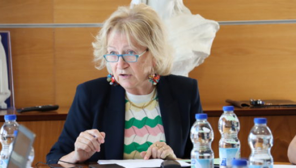 Declarações apresentadas em Reunião da Câmara – 15 de maio